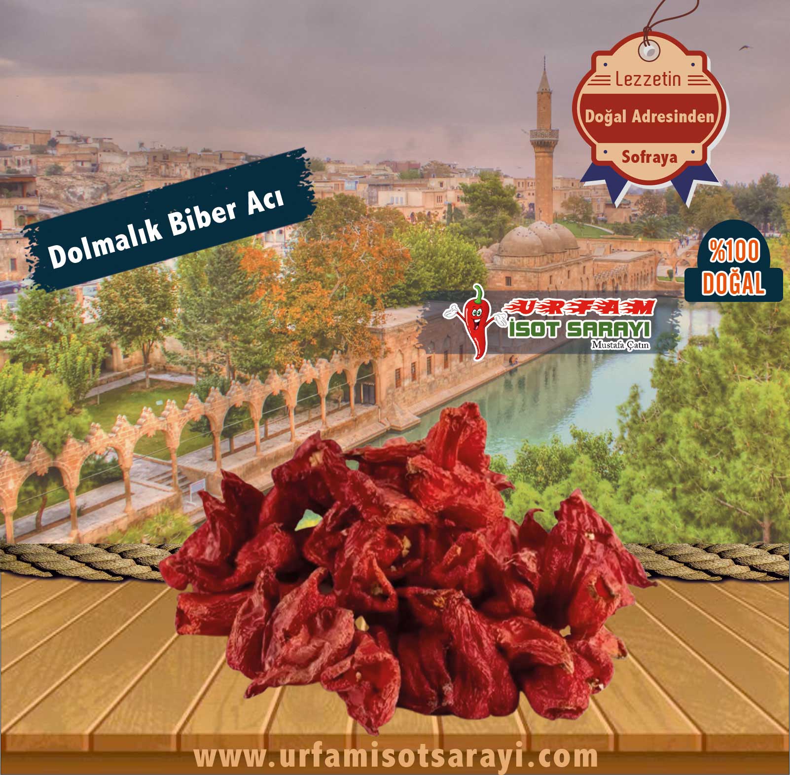 Acı Dolmalık Biber 1 BAĞ 50 ADET